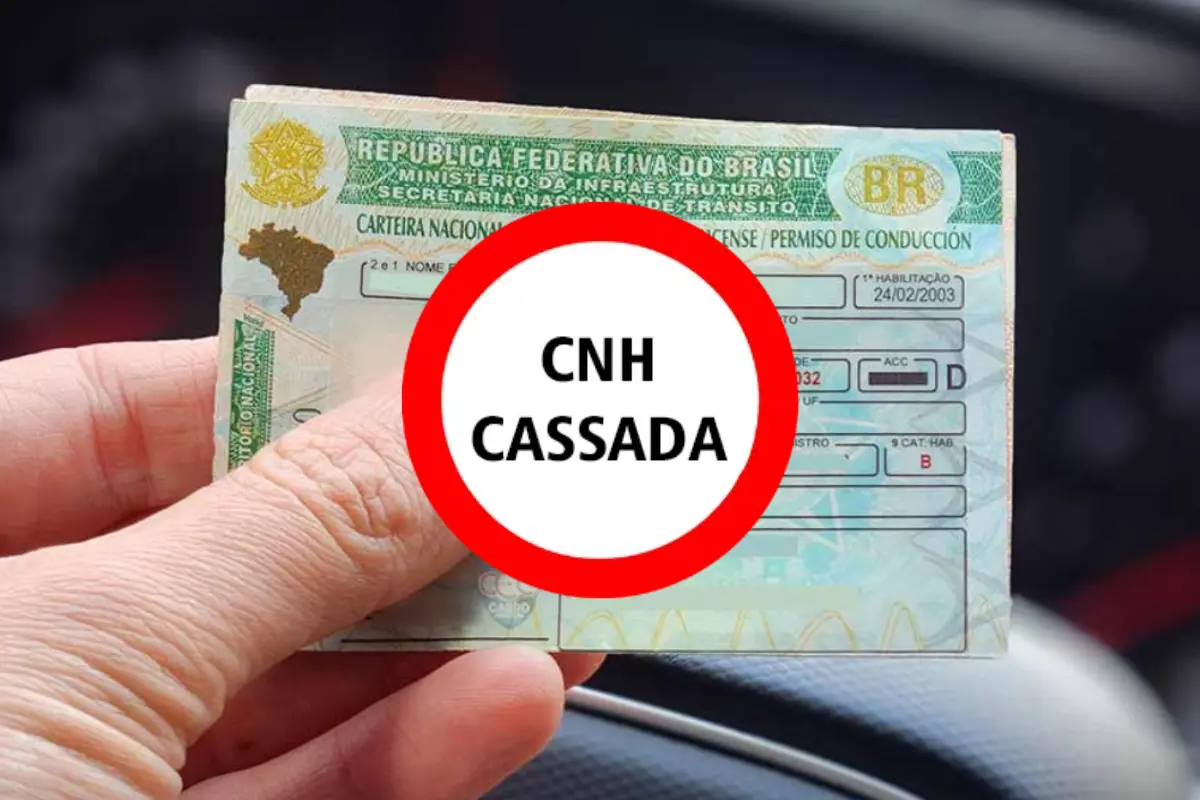 como saber se a carteira de habilitação está cassada